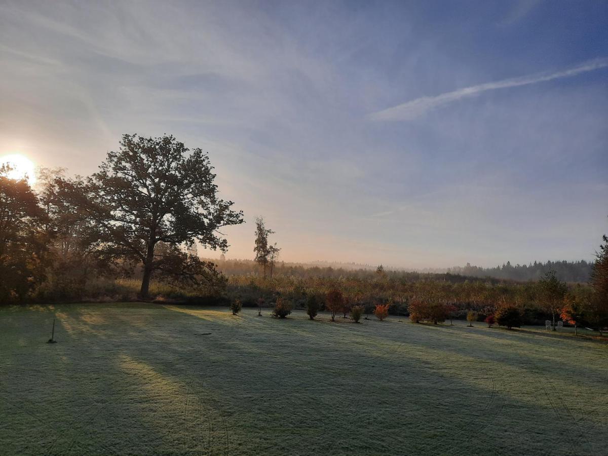 Villa L'antre parenthèse à Grand-Halleux Extérieur photo